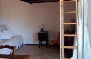 Sous les pins - Photo 7