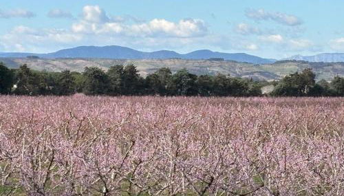 The Studio at Gites 474 - Foto 3