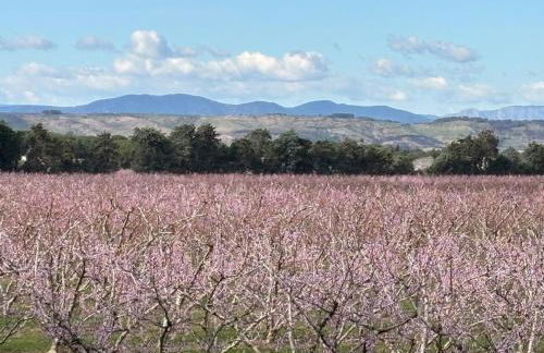 The Studio at Gites 474 - Foto 3