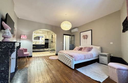 Appartement 4 Climatisé cocon romantique au cœur de Limoges - Foto 5