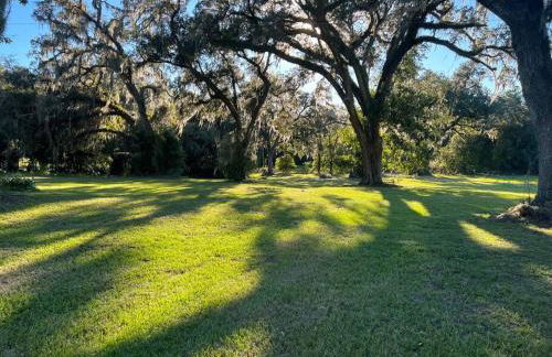 Quiet Farmhouse IN THE COUNTRY close to major theme parks - Photo 24
