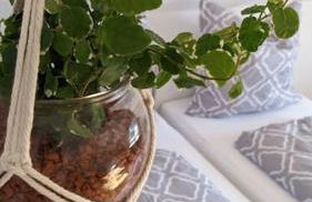 Moderne Einliegerwohnung am Wald - Foto 6