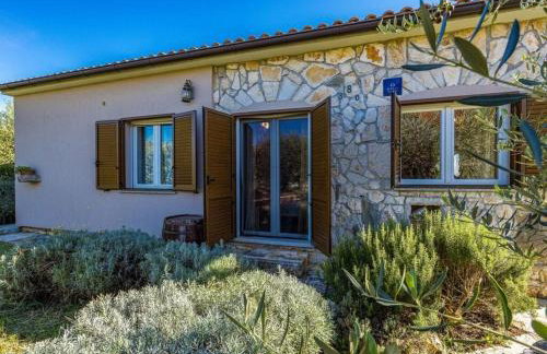 Villa Alka Comfortable holiday residence - Foto 4