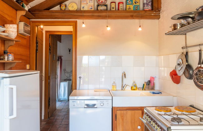 Marguerite - Photo 9