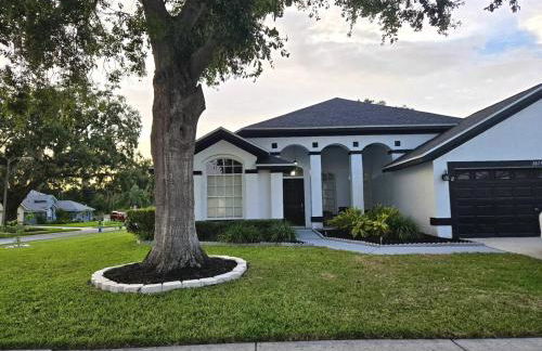 Pool house Best location in Wesley Chapel - Photo 66