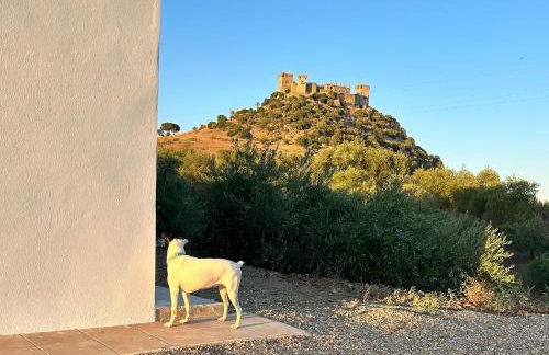 Casa Caraza. Un olivar con vistas al castillo de Juego de Tronos - Foto 13