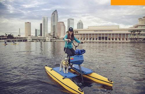 Green house - Foto 30