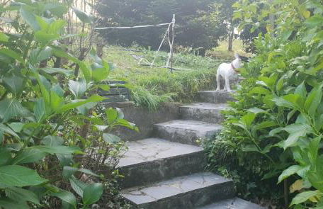 CASA DE CAMPO LAS ROZAS - Foto 25