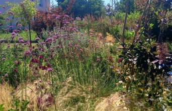 Private House with View near Samobor Ideal for Couples & Pets - Photo 45