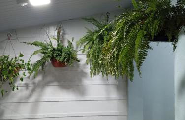 Casa Relaxante perto das Cataratas e Cachoeira - Foto 20