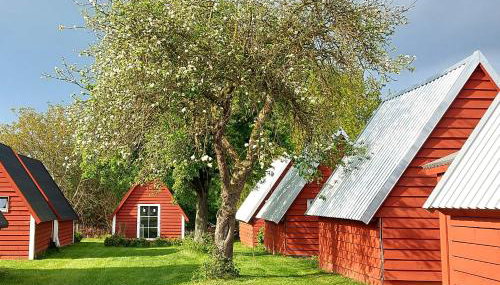 Vier Winde Usedom - Ferienanlage - Foto 2