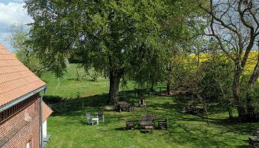 Gutshaus Thorstorf FeWo Travemünde - Foto 5, Garden view