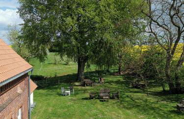 Gutshaus Thorstorf FeWo Boltenhagen EG und Tiefpaterre - Foto 21