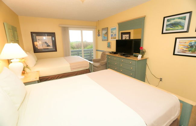 The Grey Gull - Foto 14