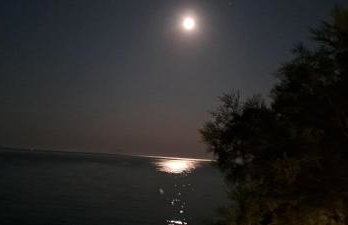 Dinas Inn - Photo 51