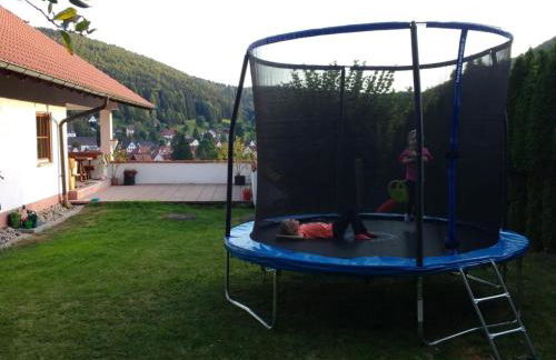 Mayntz' Albjuwel - Foto 14