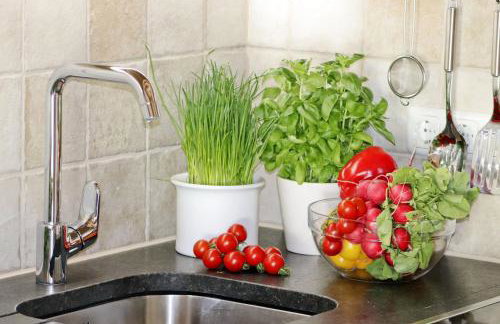 Schauerhof - Photo 41