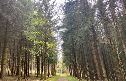 Haus Elise - Foto 32