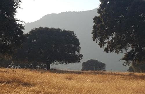 Finca La Rinconada - Foto 7