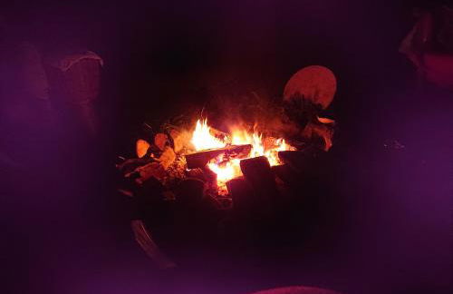 Im Buchenwäldchen - ruhig gelegenes Haus in der Natur für bis zu 12 Personen - Foto 26