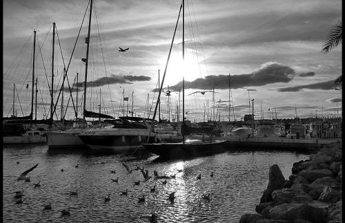 Brisas del mar - Photo 53