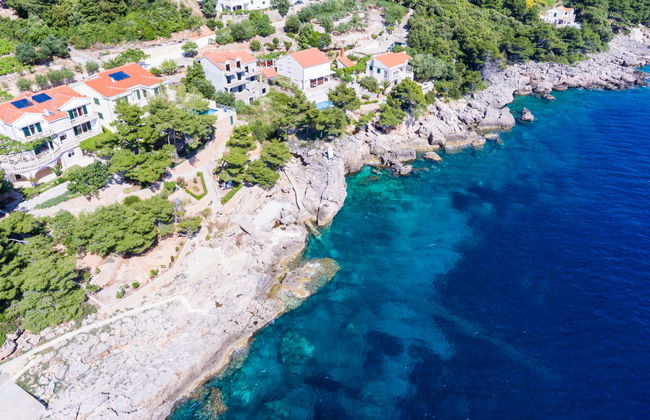 Plavac Mali - Foto 16