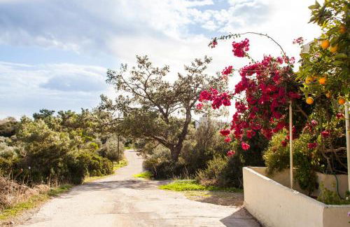 Konstantinos Villa - Foto 54