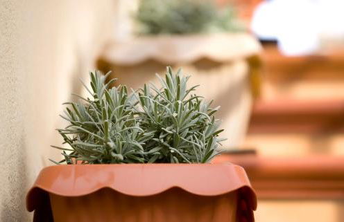 Bonita casa en Granada+PARKING EN EL CENTRO+WIFI - Foto 32