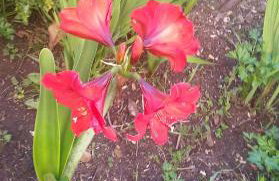 Apartment Pasman 1 - Photo 16