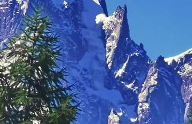 Appartement exceptionnel au Lavancher à chamonix - Foto 4