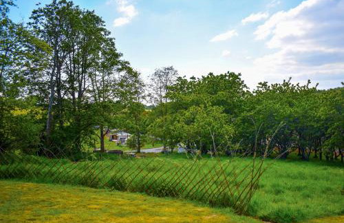 Russet Yurt - Ukc6945 - Foto 13