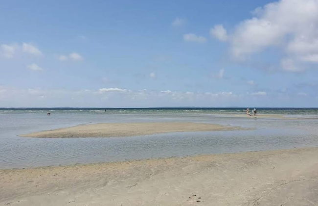 4 Person Holiday Home in Jaegerspris - Foto 33