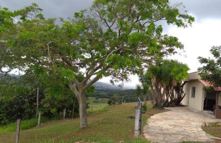 Sítio Santa Terezinha Canastra - Foto 14