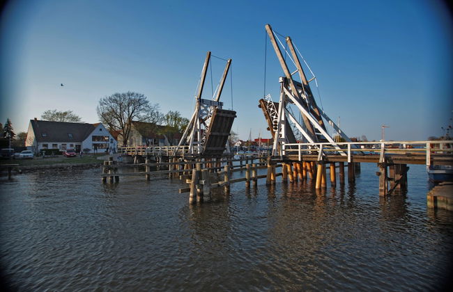 Steakhouse Jack & Richie's - Foto 46