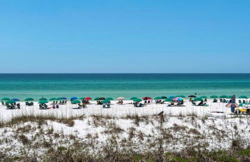 Yellow Bird - Foto 11