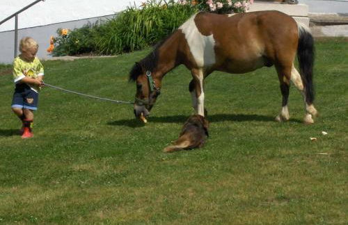 Ferienwohnung Scherr - Foto 18