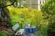 Rapunzel trifft Dornröschen - Foto 3