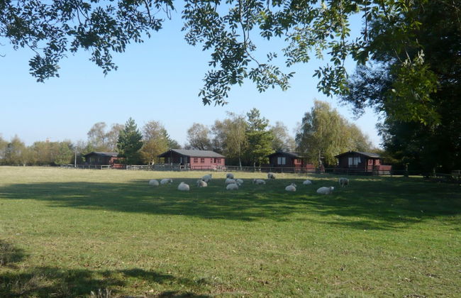 Spacious Cottage With Sauna Looking out on Astonishing Grasslands - Photo 62