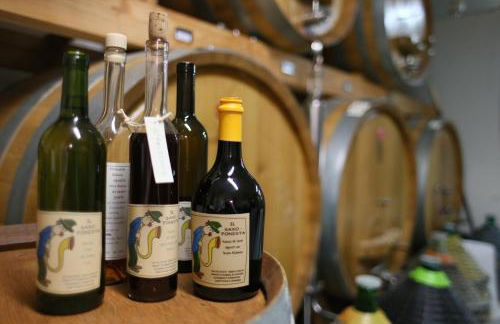 Agriturismo La Burlanda - Foto 67