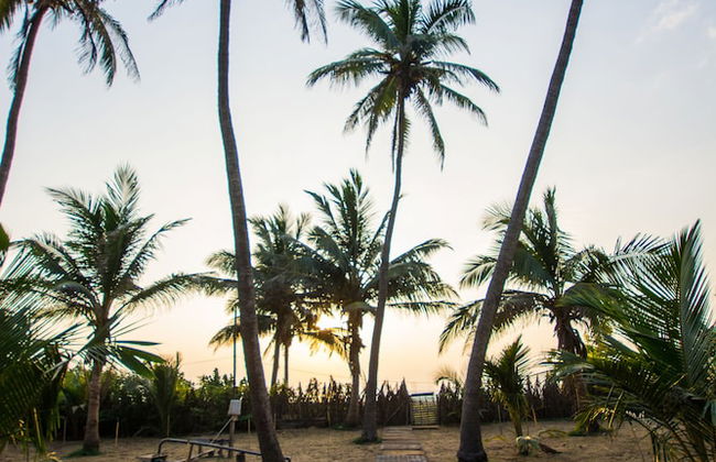 Rüstic Beach Villa - Foto 20