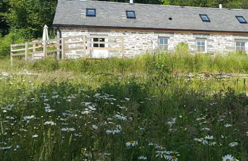 Snowdonia Glamping Holidays, Betws-y-Coed - Foto 9