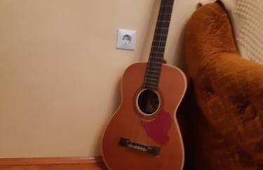 Apartman VeDE Baćina - Foto 10