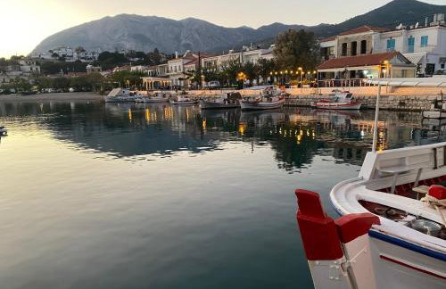 Pantheon Apartments & Studios - Photo 78