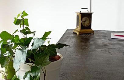 Retiro da cegonha - Foto 26