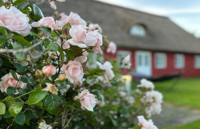 "Kielo" - 10km from the sea - Foto 11