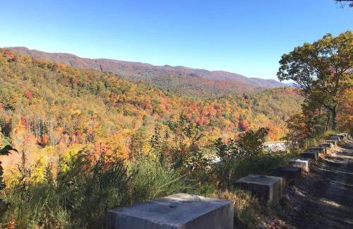Elkhorn Rustic Blowing Rock Cabin Amazing Views - Foto 41
