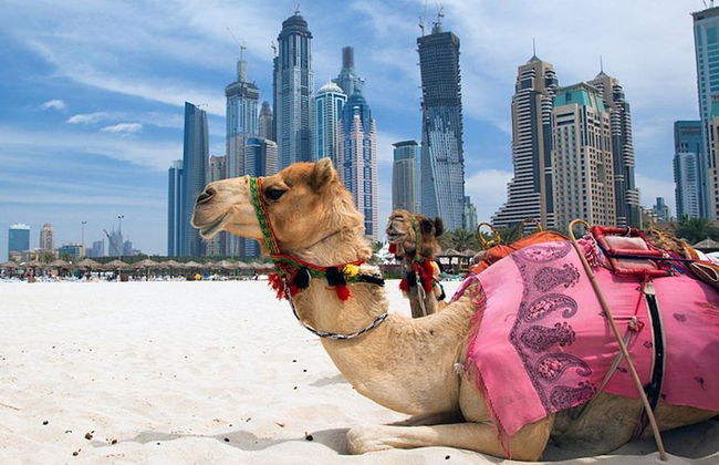 Luxury One Bed Apartment in Heart of Dubai - Photo 16