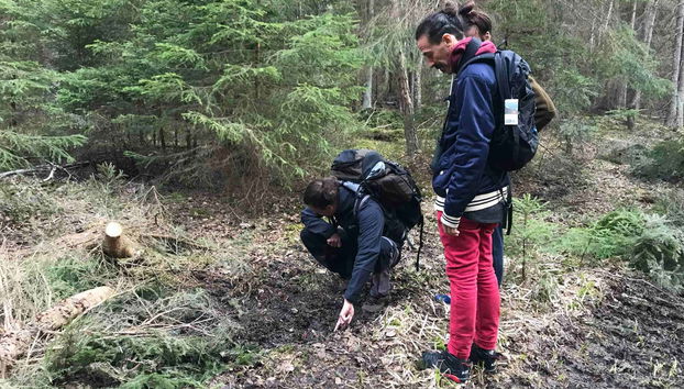 Safari dans les forêts de Stockholm - Photo 3