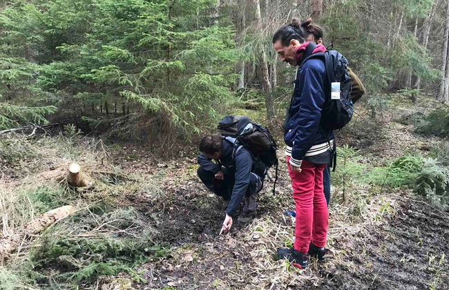 Stockholm Wildlife Safari - Foto 3