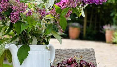 Altländer Obsthof - Photo 4